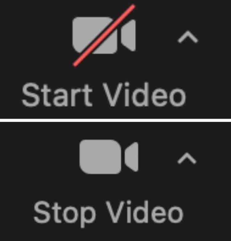 The icons on Zoom that say "Start video" and "Stop video" on top of each other
