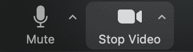 Screenshot of the Mute and Stop Video buttons on Zoom