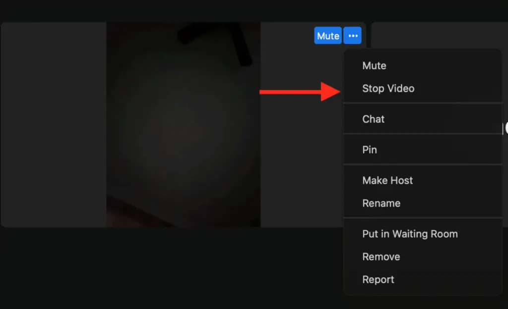 Dropdown list shown after you click the three white dots in the top right of the participant's video box with a red arrow pointing to "Stop video"