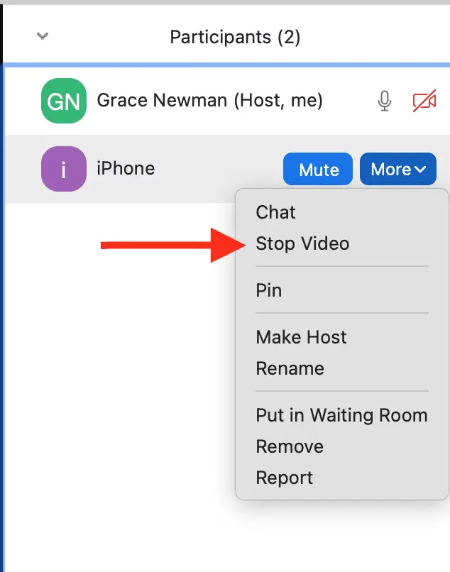 Dropdown list shown after clicking the "More" option by their name on the participant list with a red arrow pointing to "Stop video"