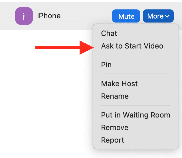 More option next to participant's name drop down box with a red arrow pointing to "Ask to Start Video"