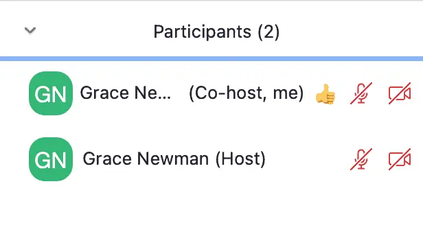 Participants menu with a thumbs up by one of the user's names