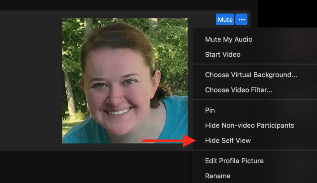 Dropdown list on the more option over a person's video box with a red arrow pointing to "Hide Self View"