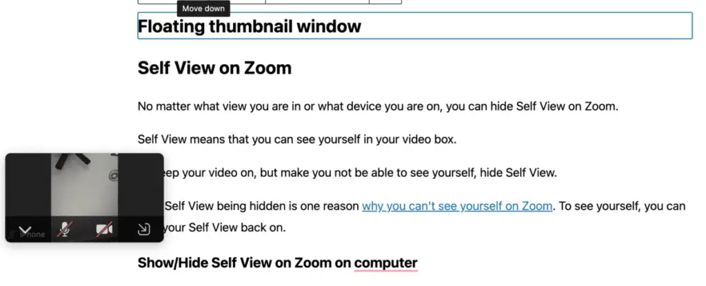 Example of floating thumbnail on Zoom