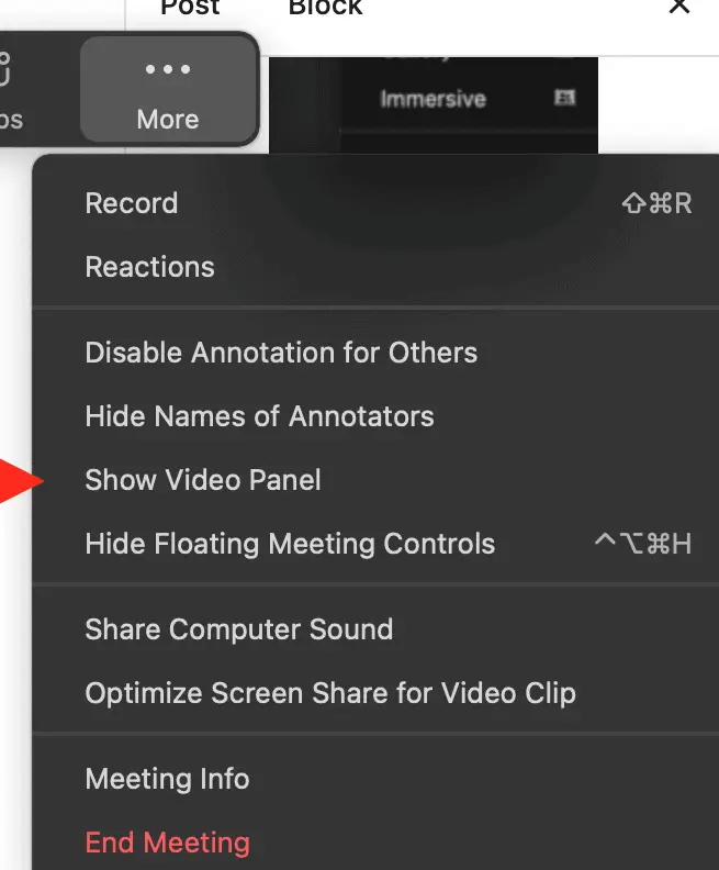 "More" dropdown list on the Zoom screen sharing toolbar with a red arrow pointing to "Show Video Panel"
